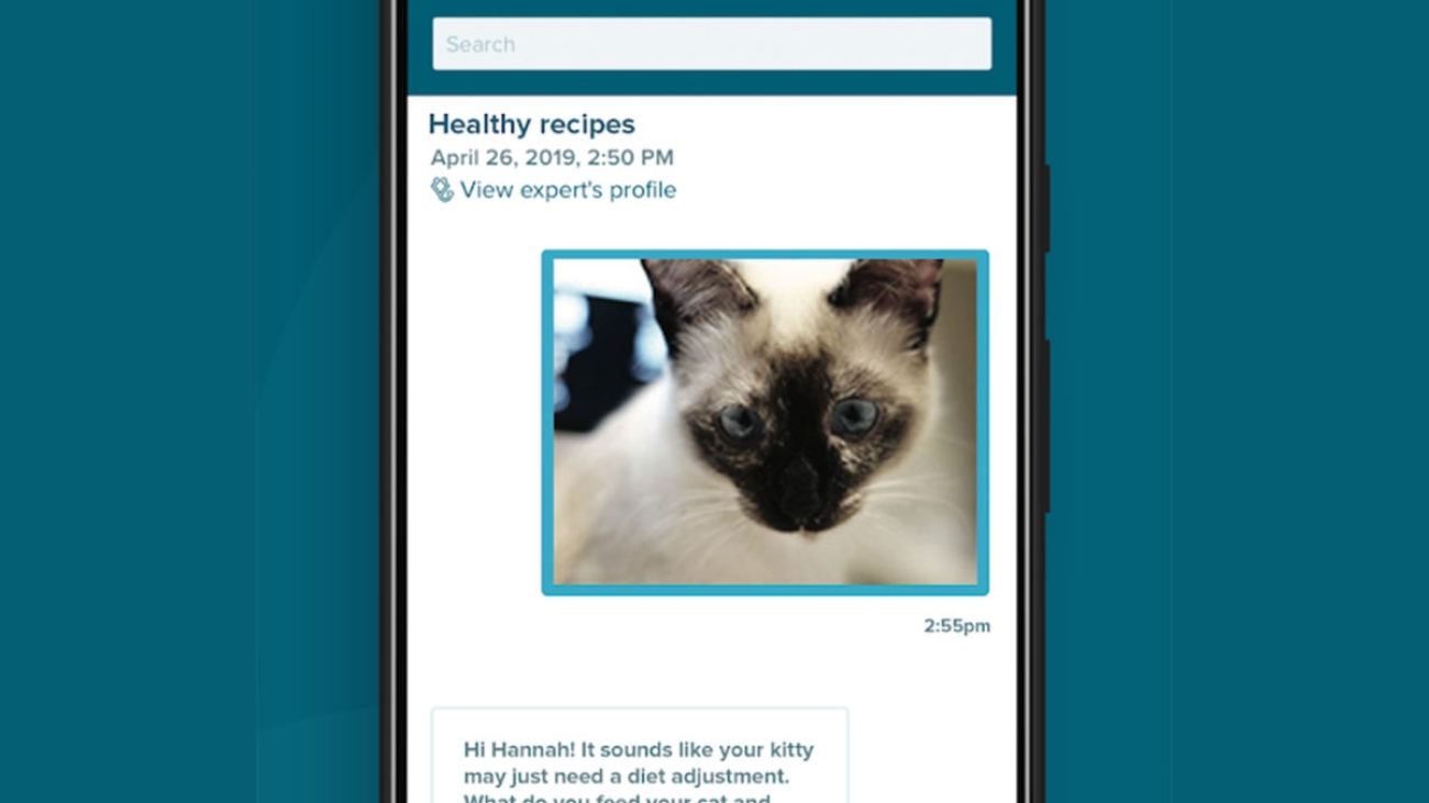 10 best cat apps for Android for you and your cats