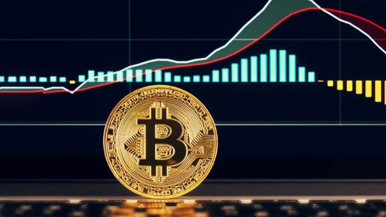 Bitcoin Price Drops to $32,817, Cause of Worry to Investors