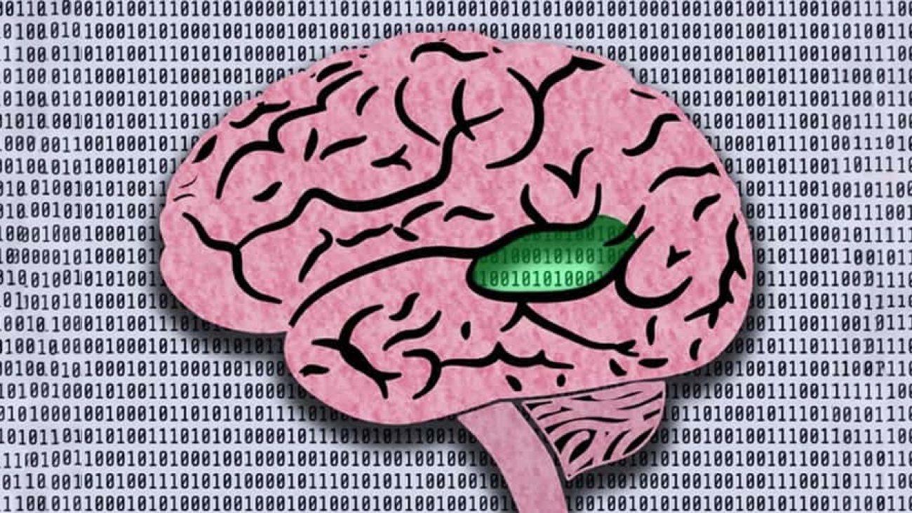 Basics of Machine Learning Neuroscience Jobs