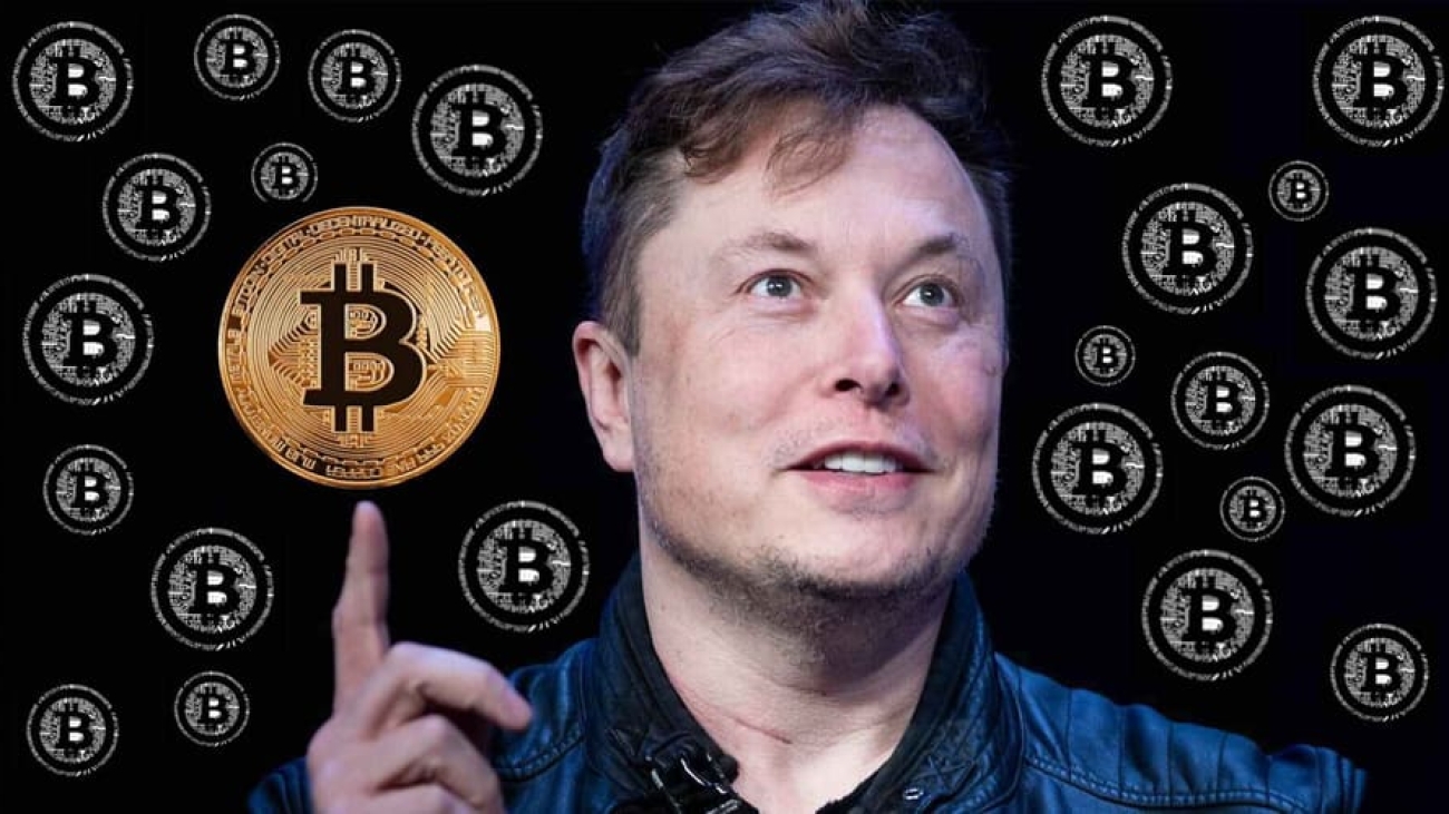 Elon Musk: The Ultimate Influencer of the Cryptocurrency Market