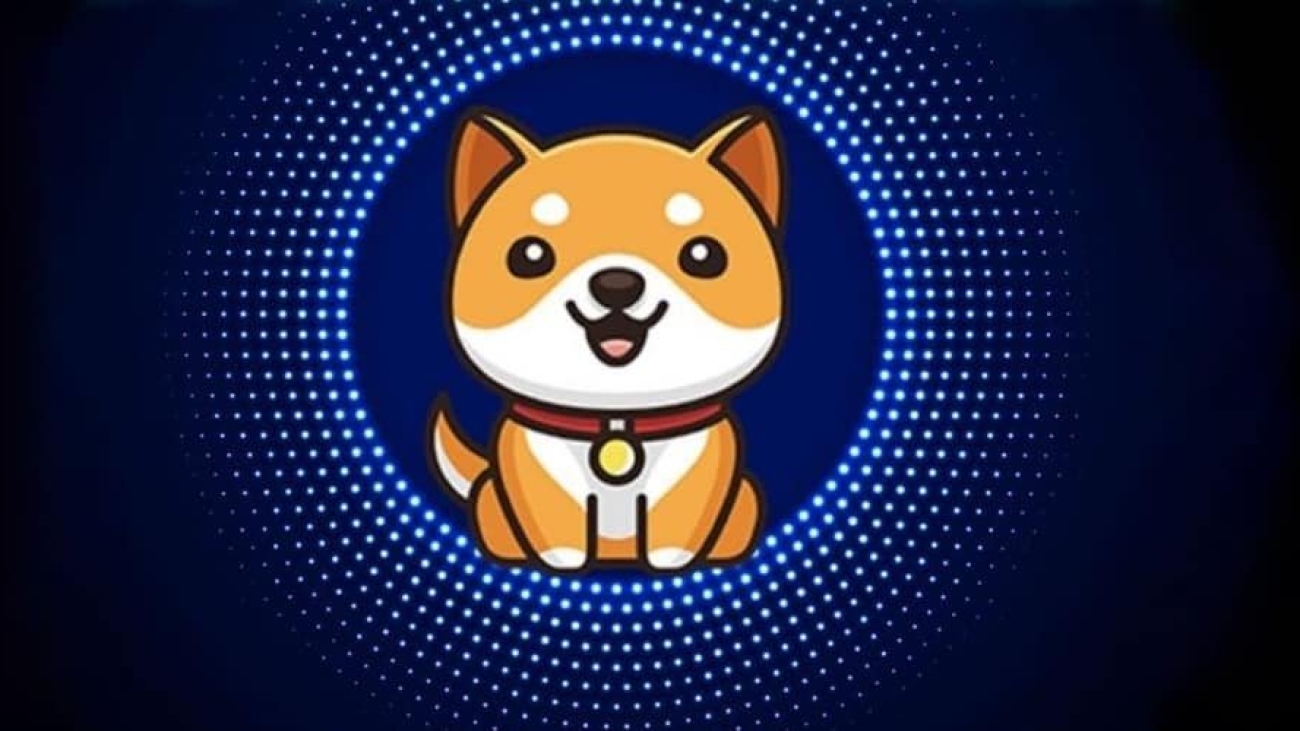 Is Baby Doge Cryptocurrency Worth the Buy or is it a Short-Lived Hype?