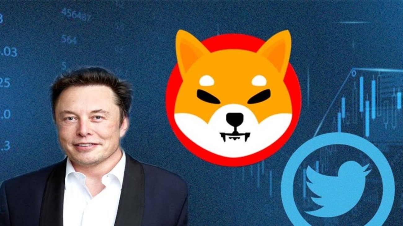 Baby Doge: Elon Musk Tweets on Dogecoin Spinoff New Cryptocurrency