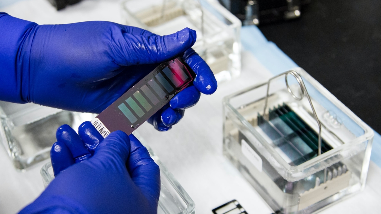 Africa's biotech industry can deliver social and economic returns